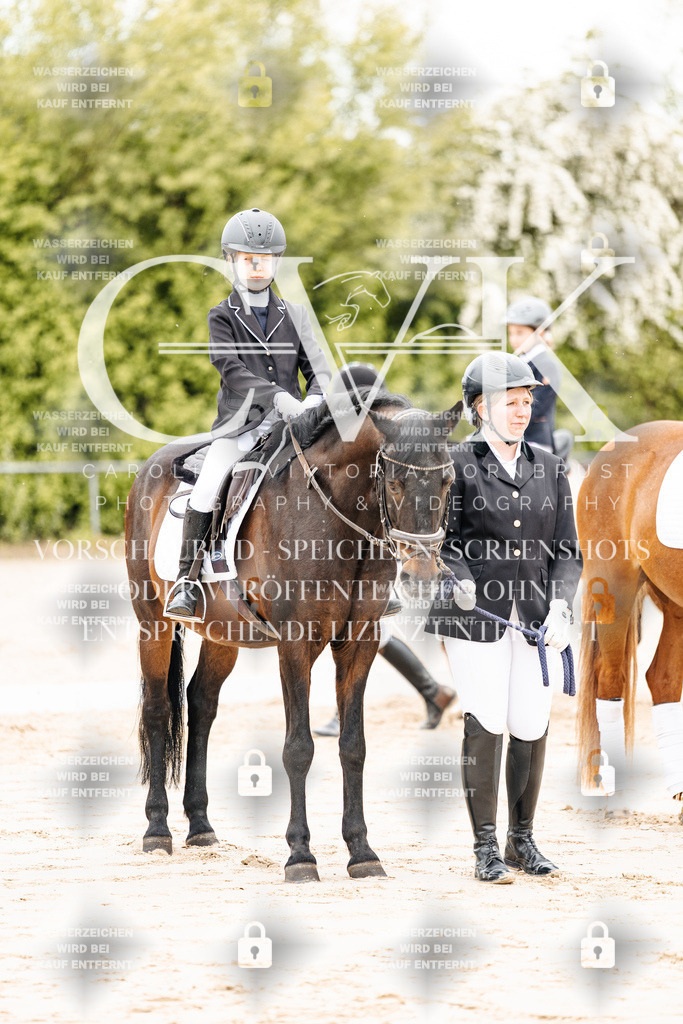 CK903739 | Turnierfotografie Pferdefotografie Trier Rheinland-Pfalz Pferdesport Reitsport Tierfotografie Sportfotografie Pferdevideo Pferdevideografie Equestrianvideography equestrianphotography  - Realisiert mit Pictrs.com
