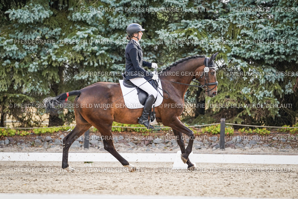 DSC00792 | Pferdegrafie