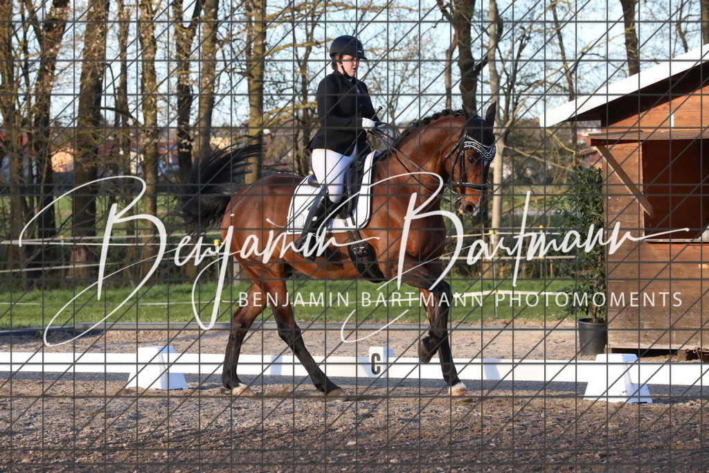 AZ2A5824 | Benjamin Bartmann Photomoments