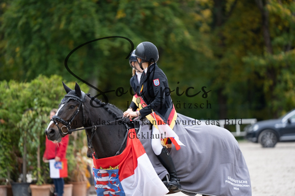 A7V01470 | Pferdefotograf