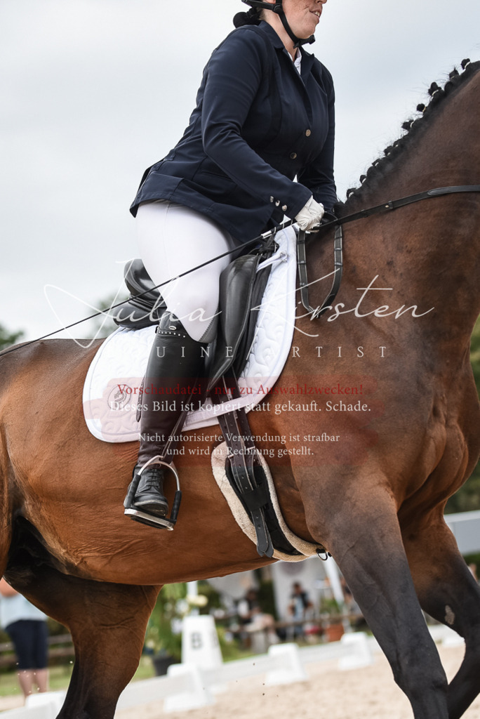 DSC_8465 | Pferde- und Turnierfotografie in Westsachsen. Pferdeportraits, Auftragszeichnungen und intuitive Kunst.