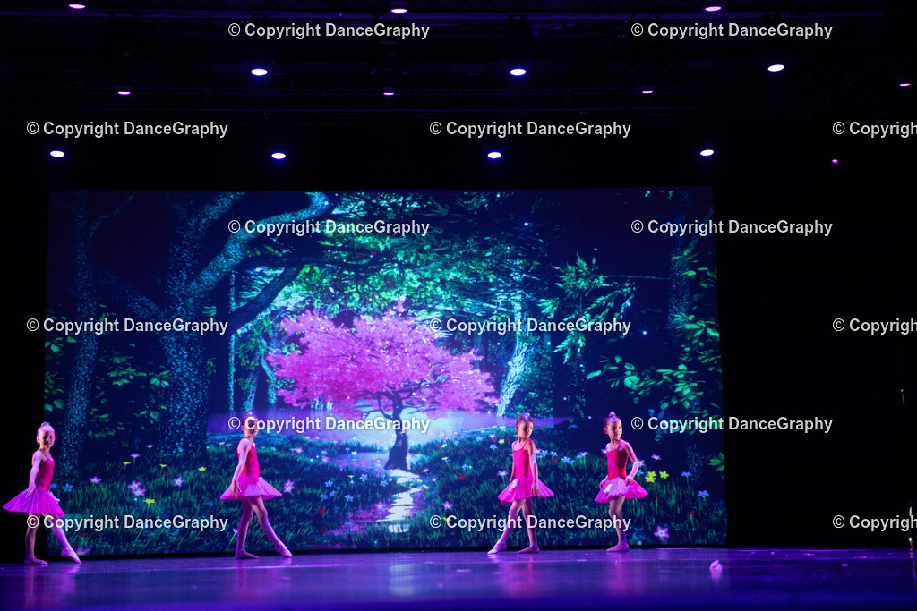 GPHY5023 | DanceGraphy - Realisiert mit Pictrs.com