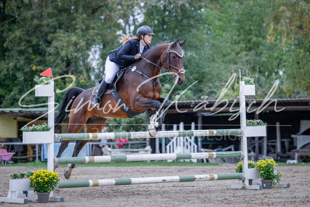 20251012-_3LI4981 | Tierfotografie Pferde, Hunde, Katzen, Haustiere.
Turnierfotografie Reitturniere, Reiten, Springreiten, Dressur in Hanau, dem Main-Kinzig-Kreis und dem Rhein-Main- Gebiet um Frankfurt