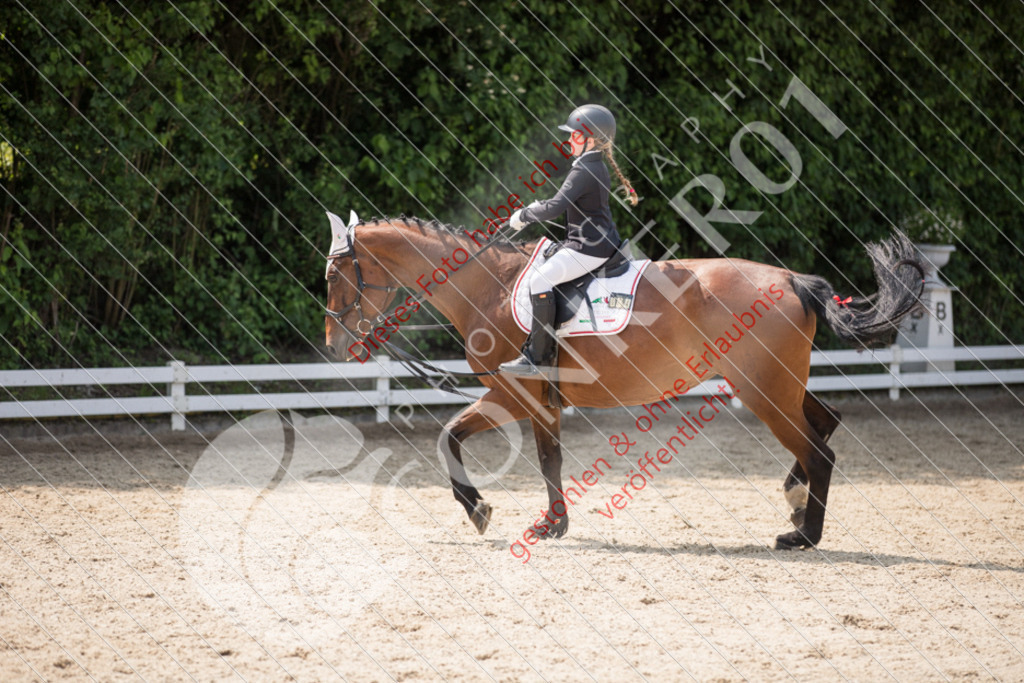 IMG_3497 | Sport-, Event- und Tierfotos in Profiqualität. Einfach auswählen, bestellen und herunterladen. Dein Moment – perfekt festgehalten.