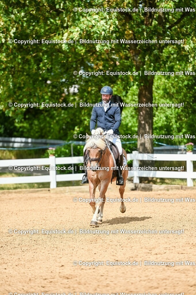 20230716_01_Dressurprüfung Kl.M_0146 | equistock
