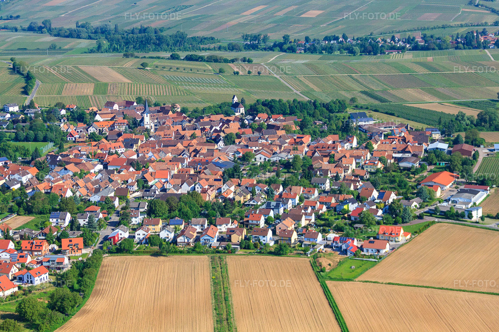 Luftbild: Dorfansicht von Südosten im Ortsteil Mörzheim in Landau im Bundesland Rheinland-Pfalz in Deutschland. Foto: IMG_27116.jpg vom 23.05.2010 durch Werner Riehm/FLY-FOTO.de