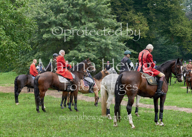 09-23 JAgd PerdölDSC01996_Marina Hewig | Fotografie, FotoArt, PferdesportArt, Pferdesportfotografie, Landschaftsfotografie, Reisefotografie, Reise, Pferde - Realisiert mit Pictrs.com