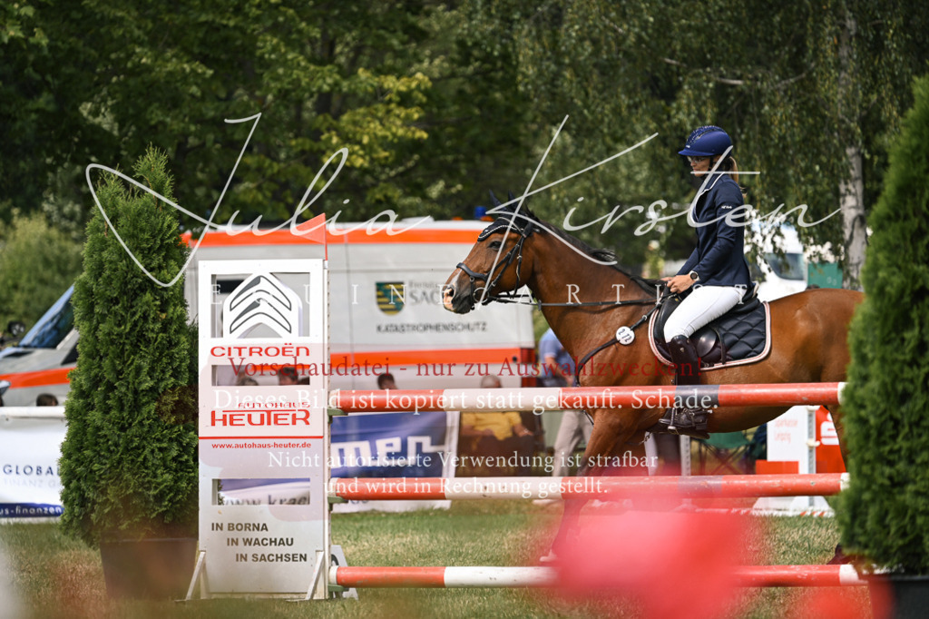 DSC_0673 | Pferde- und Turnierfotografie in Westsachsen. Pferdeportraits, Auftragszeichnungen und intuitive Kunst.