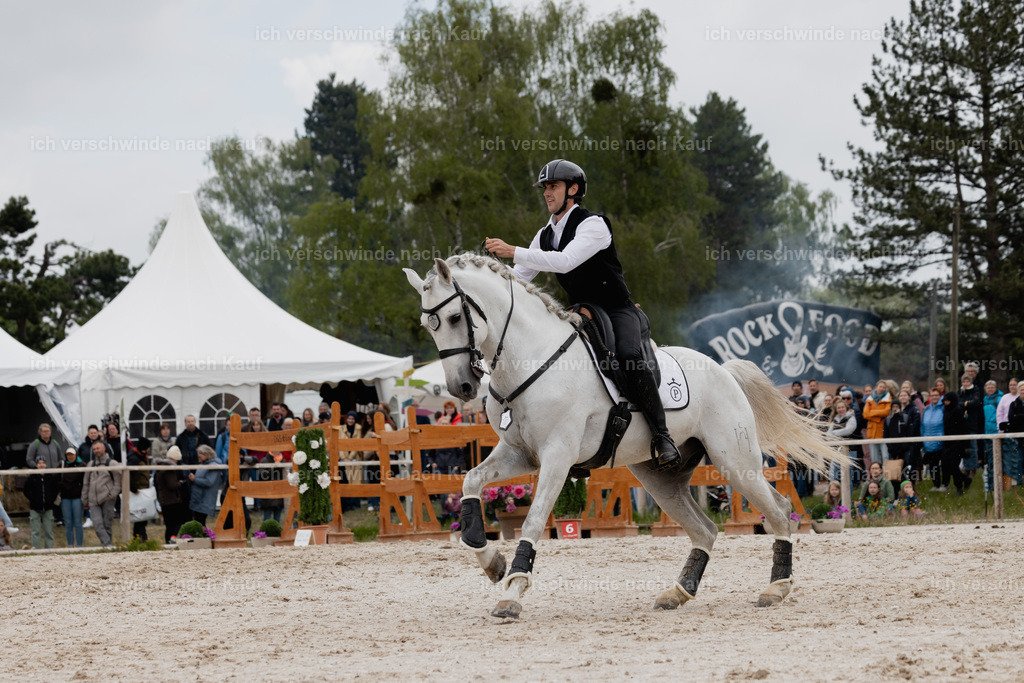 PI26_SP_StoibphotographyC2_C0595.jpg | working equitationturnier fotograf videograf stoibphotography marixx film working equitation deutschland reitsport turnierfotografie eventfotografie equestrian events