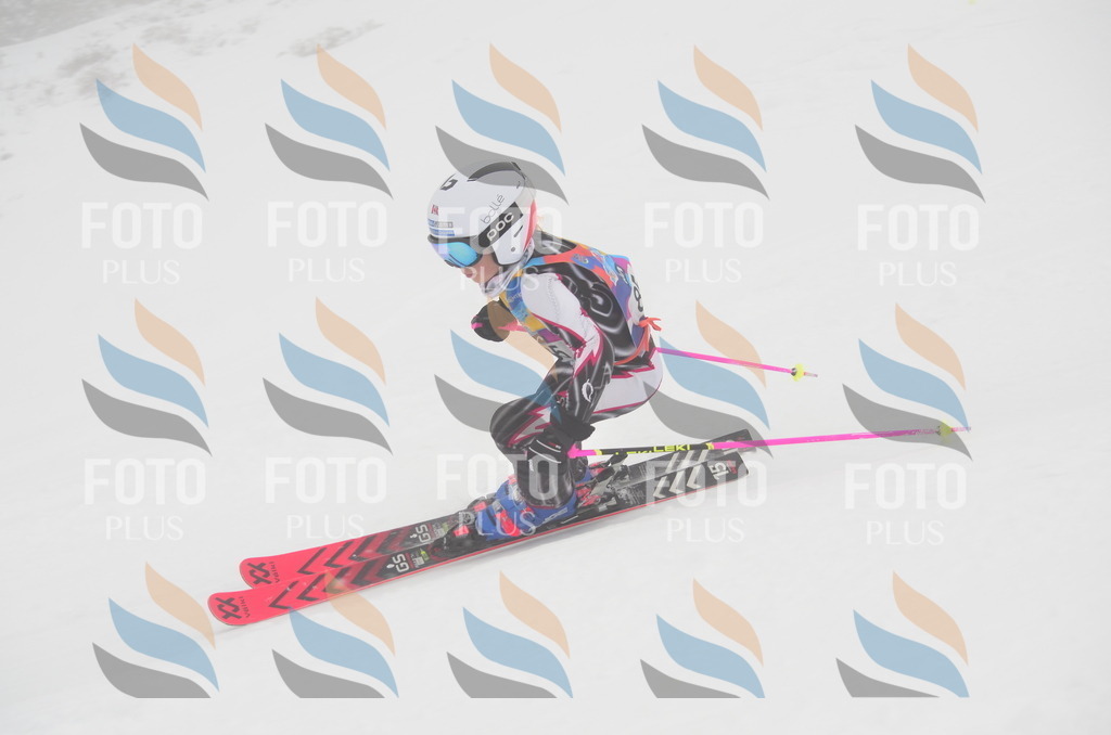 C1269 | holidayphoto