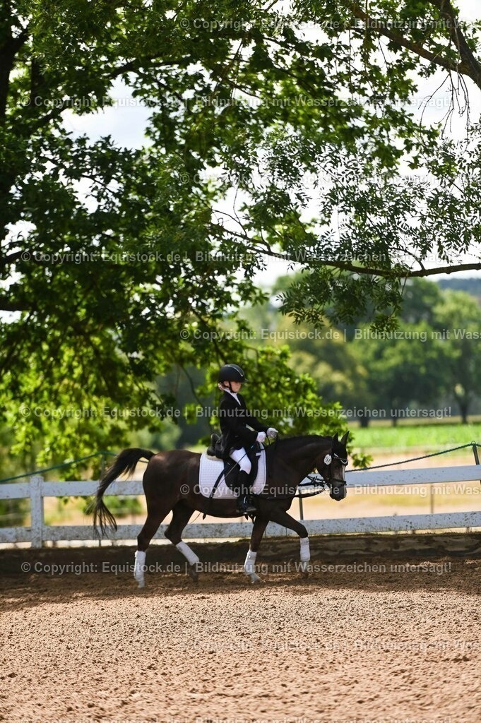 20230716_10-3_Reiter-WB Schritt - Trab - Galopp_0077 | equistock