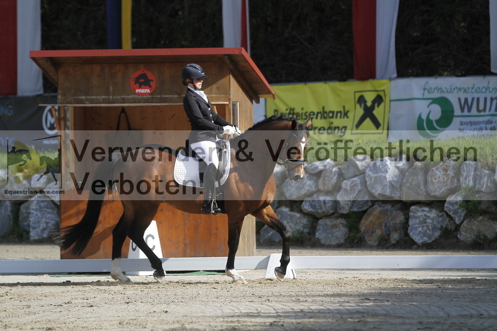 _MG_9226 | equestrian-live-com