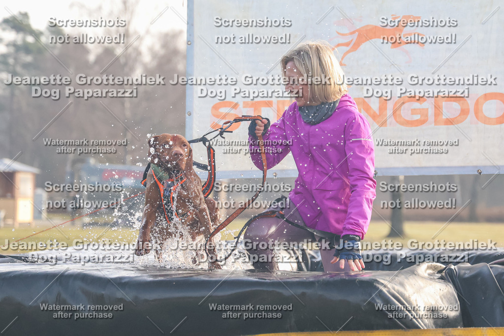 Dog Paparazzi - SD North Sa 830-900-179 | Dog Paparazzi Jeanette Grottendiek Fotografie & Videografie - Realisiert mit Pictrs.com