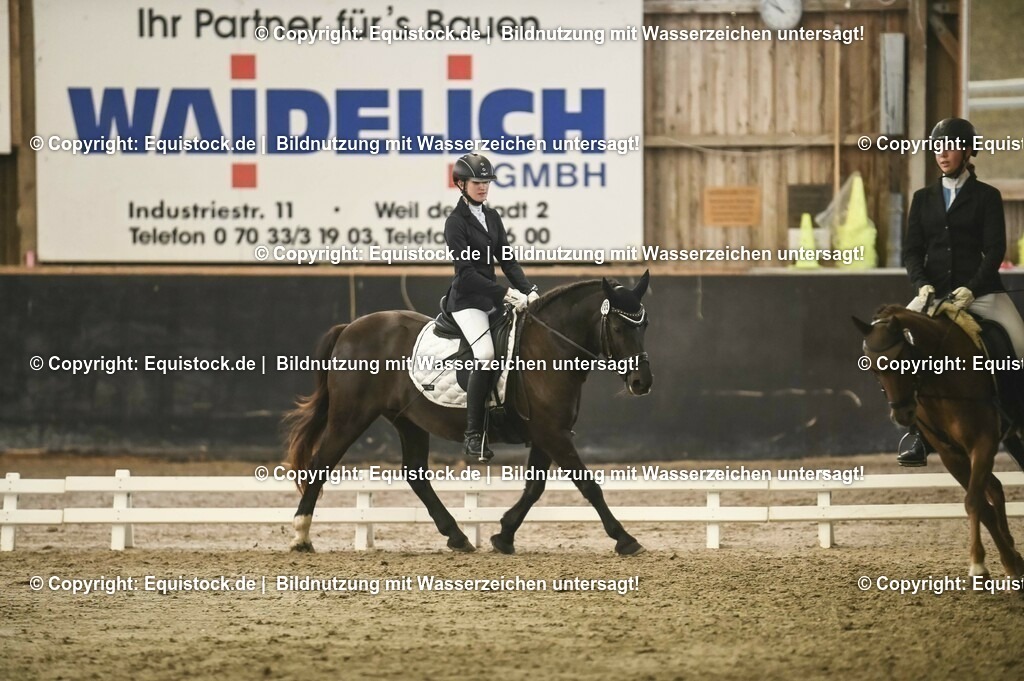 20231029_04_Dressur-WB_0307 | Foto: Thomas Hartig