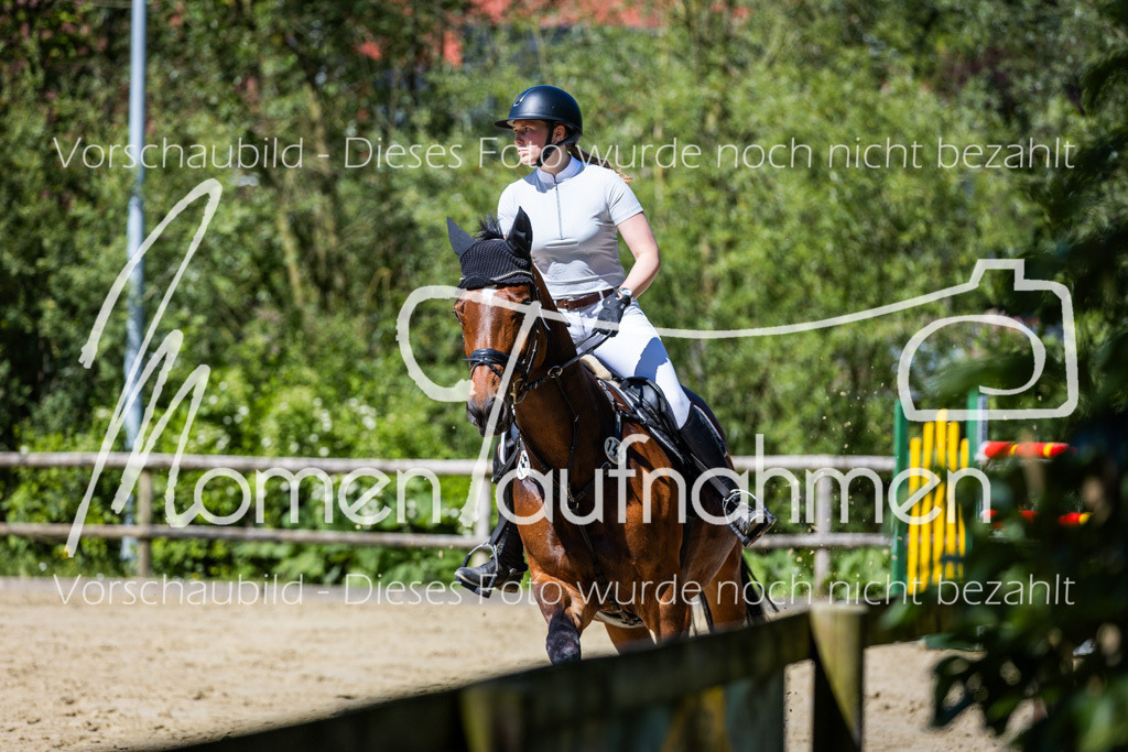 Donop24-M-Spr-068 | MomenTaufnahmen Pferdesportfotos