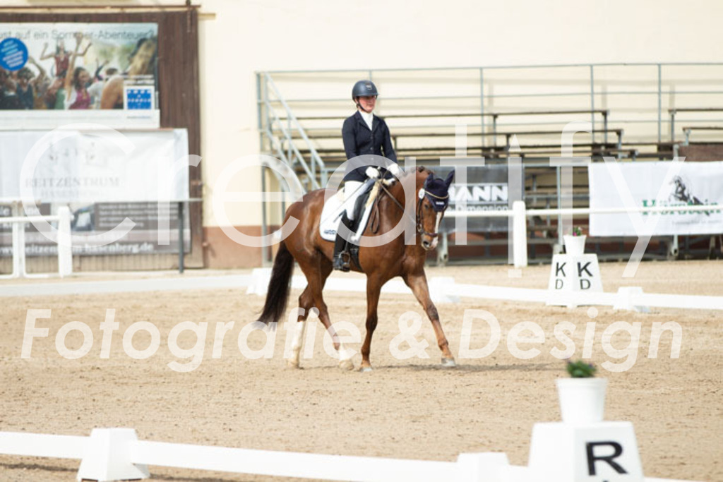 IMG_1592 | Creatify Fotografie