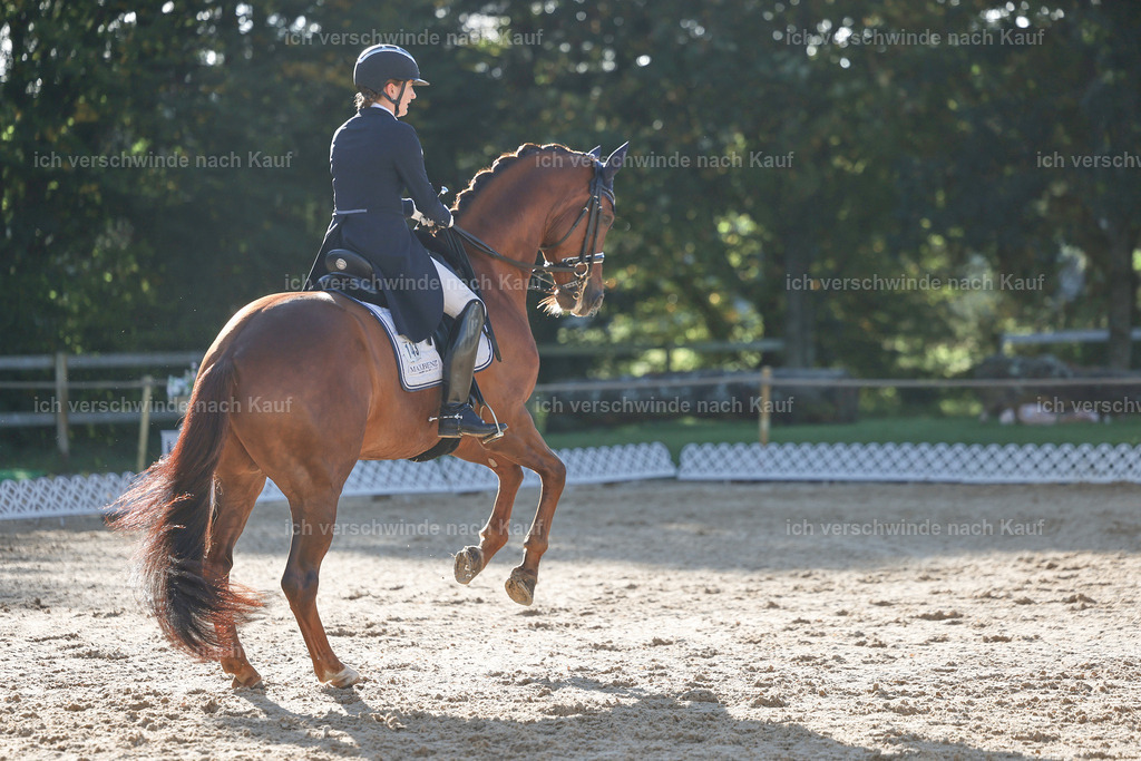 09_1-143-DRESSUR  S_  -StoibPH-5561 | working equitationturnier fotograf videograf stoibphotography marixx film working equitation deutschland reitsport turnierfotografie eventfotografie equestrian events