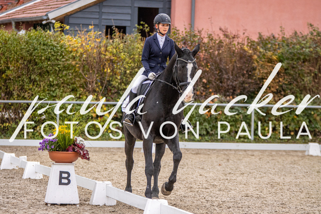 IMG_2787 | Erleben Sie dynamische Sport- und emotionale Tierfotografie in Süddeutschland mit Fotos von Paula. Spezialisiert auf Pferde- und Hundefotografie sowie Sportevents. Kontaktieren Sie mich für einzigartige und ausdrucksstarke Bilder Ihrer besonderen Momente.