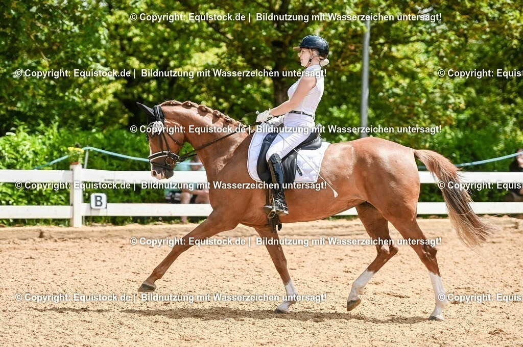 20230716_03_Dressurprfg. Kl.L - Tr._0499 | equistock