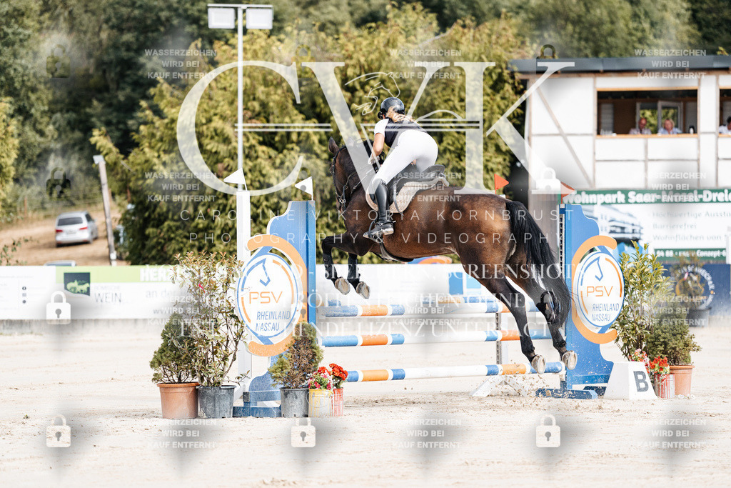 CK908851 | Turnierfotografie Pferdefotografie Trier Rheinland-Pfalz Pferdesport Reitsport Tierfotografie Sportfotografie Pferdevideo Pferdevideografie Equestrianvideography equestrianphotography  - Realisiert mit Pictrs.com