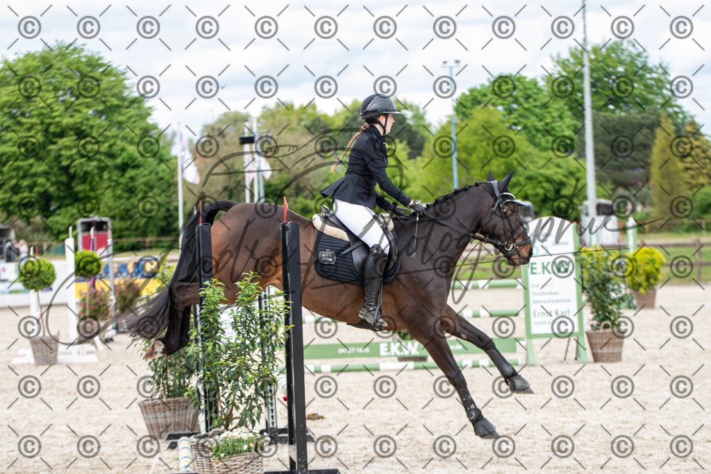 KPT_6137 | andre_photographic