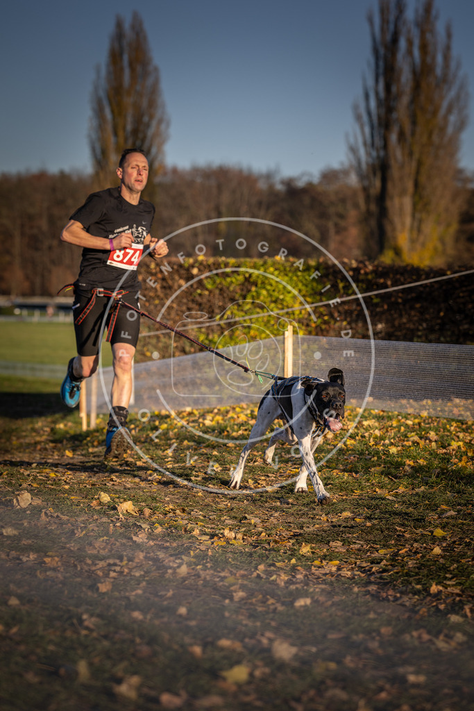CaniXpix_DV3A4215 | Hundefotografie, Tierfotograf, Pfotenfotografie, Fotoshooting Hund, Hunde Portrait, Hundesport, Hundeportraits, Heideshooting, Hunde, Sportfotograf, Hundefotograf, Turnierhundsport, THS,  - Realisiert mit Pictrs.com