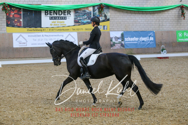 IMG_2565 | Turnierfotos kaufen im Webshop von Daniel Kuhl Photography – entdecke professionelle Reitsportfotos aus Turnieren & Events. Hochwertige Turnierbilder online bestellen & sichern. Jetzt Fotos von Reitsportturnieren kaufen!