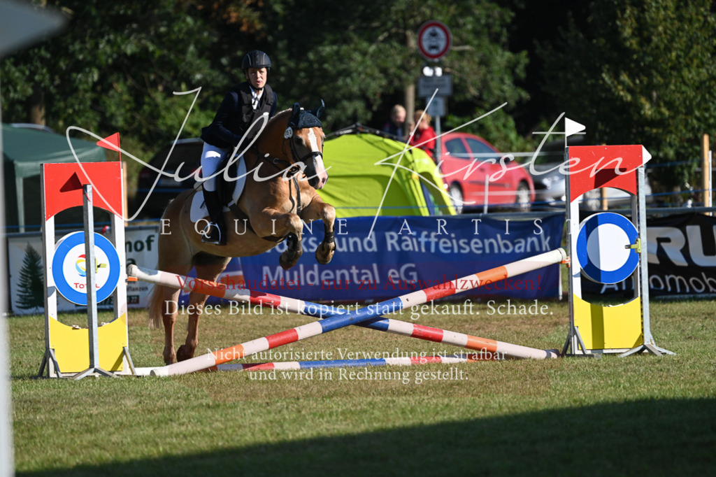 DSC_4830 | Pferde- und Turnierfotografie in Westsachsen. Pferdeportraits, Auftragszeichnungen und intuitive Kunst.