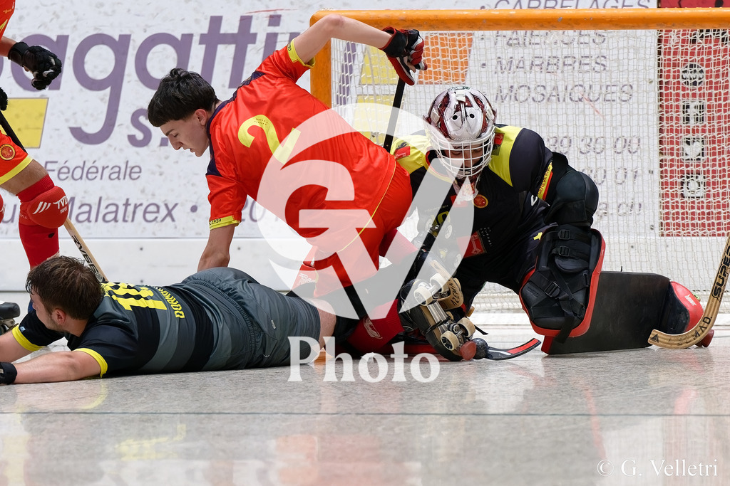 DSC_3507 | Velletri Photo