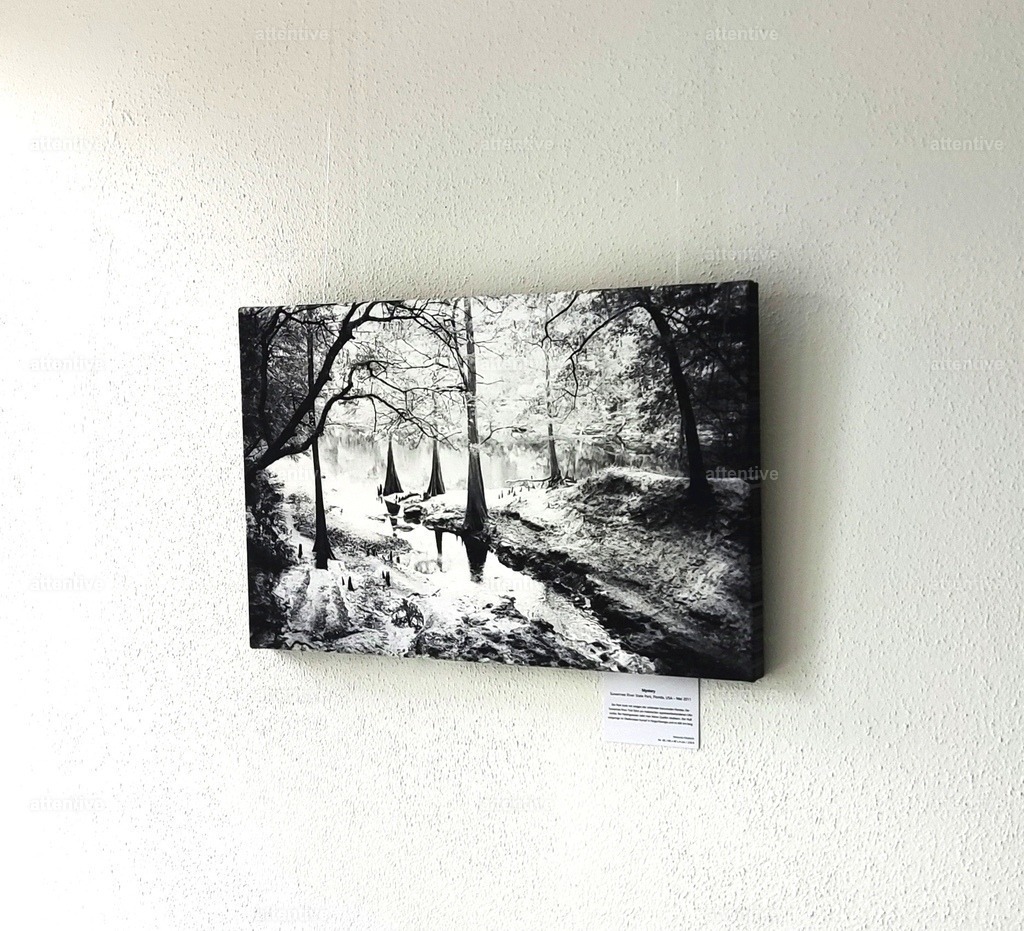 Mystery - 60 x 40 x 4 cm | Bestellbare Fotokunst von Melanie Stiebich: Analoge Schwarzweißbilder & digitale Farbwelten – als hochwertige Drucke für dein Zuhause. - Realisiert mit Pictrs.com