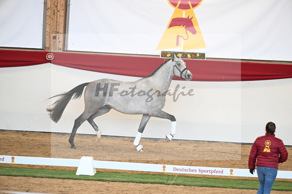 Kat.-Nr. 72 v. Johnson_Lehner_2250622 | hf-fotografie - Realisiert mit Pictrs.com
