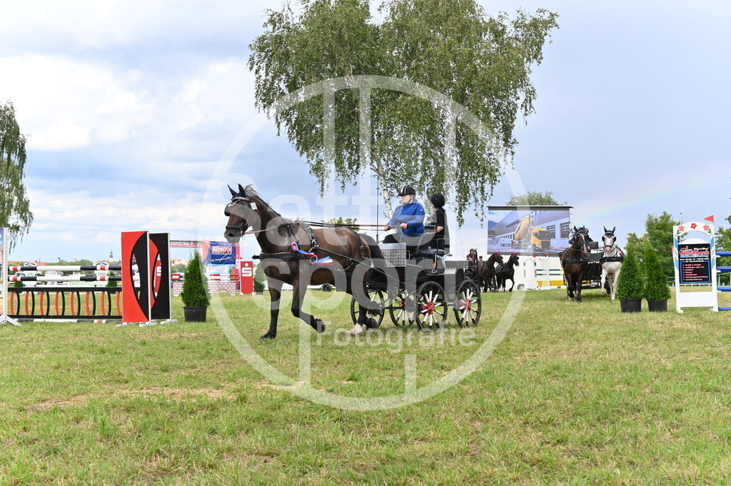 DSC_4671 | sattelsport - Realisiert mit Pictrs.com