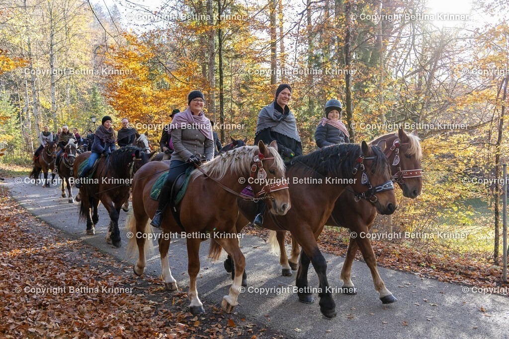 LL24-313 | foto-bettina-krinner - Realisiert mit Pictrs.com