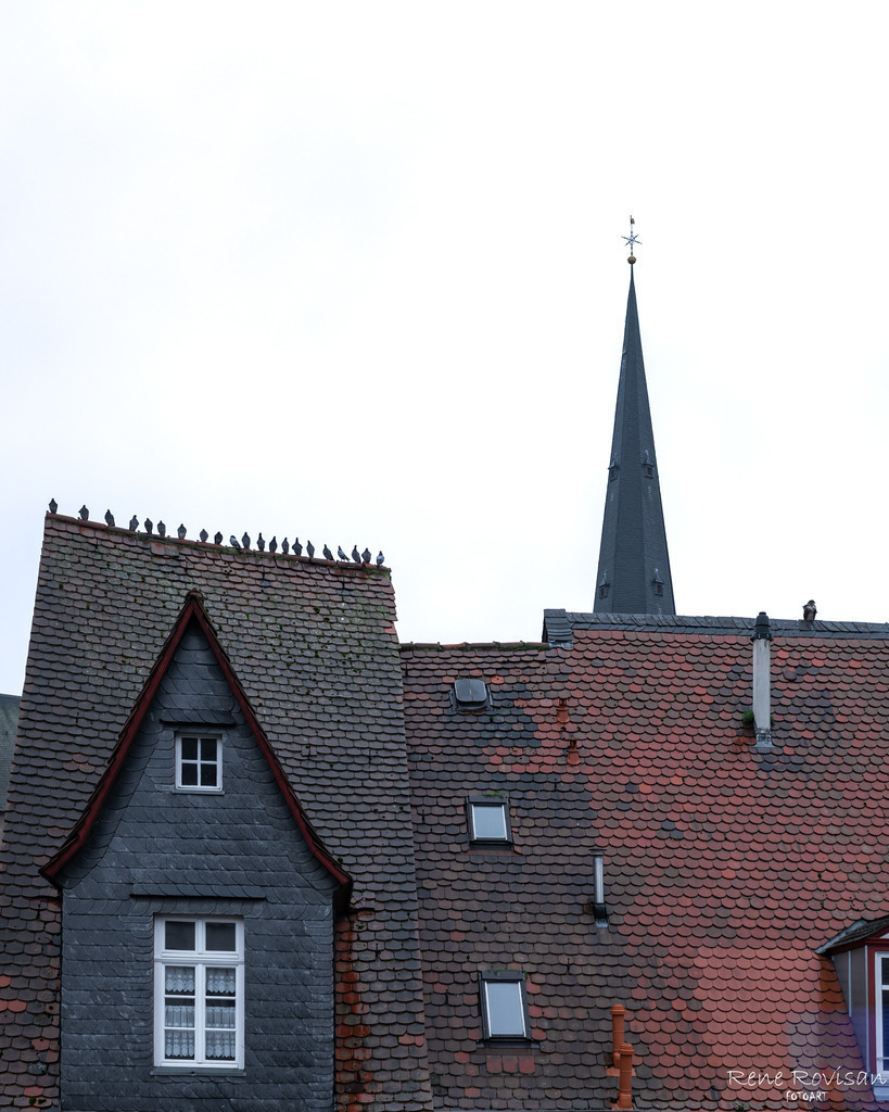 _DSC9772 | renerovisanfotoart.com