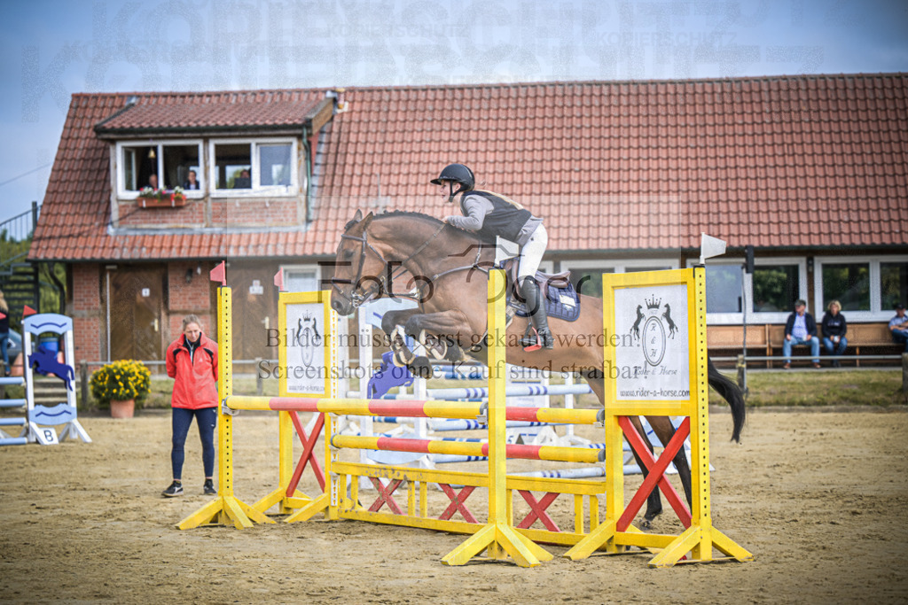 DOS_5091 | Entdecke hochwertige Reitturnierfotos von Foto Oger. Professionell, emotional und authentisch – jetzt Lieblingsmomente im Shop bestellen.Deutschlandweite Turnierfotografie. - Realisiert mit Pictrs.com