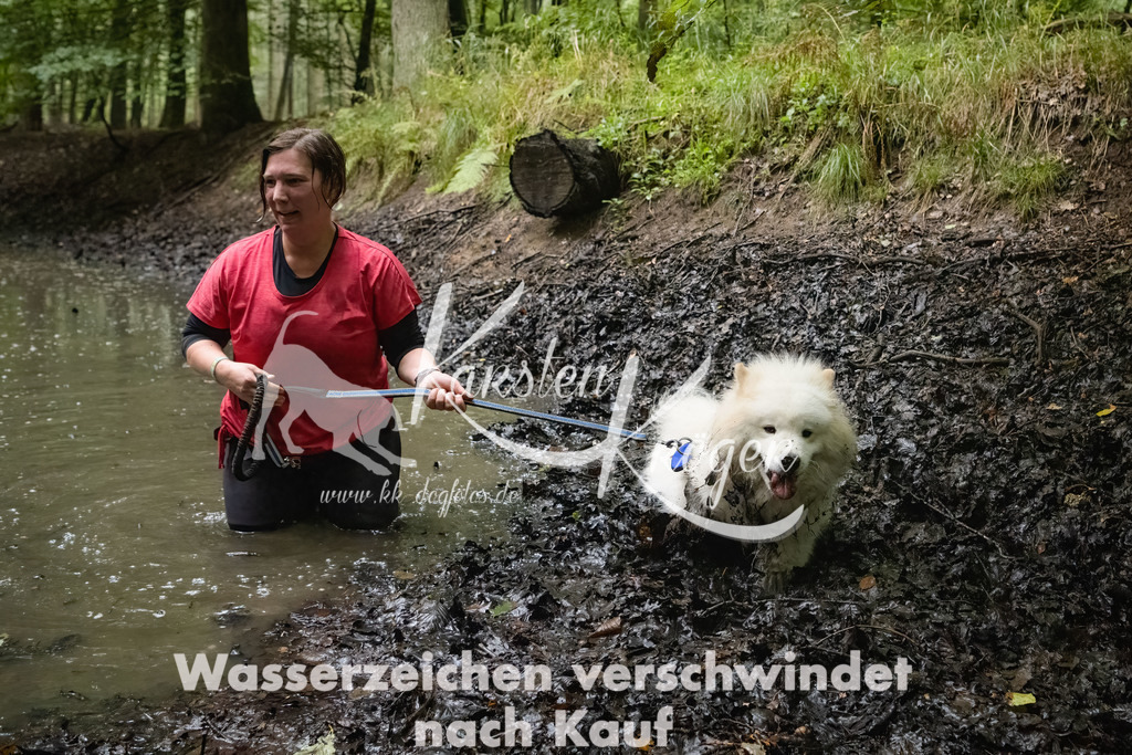 0937_ZZ90906-Bearbeitet | kk-dogfotos