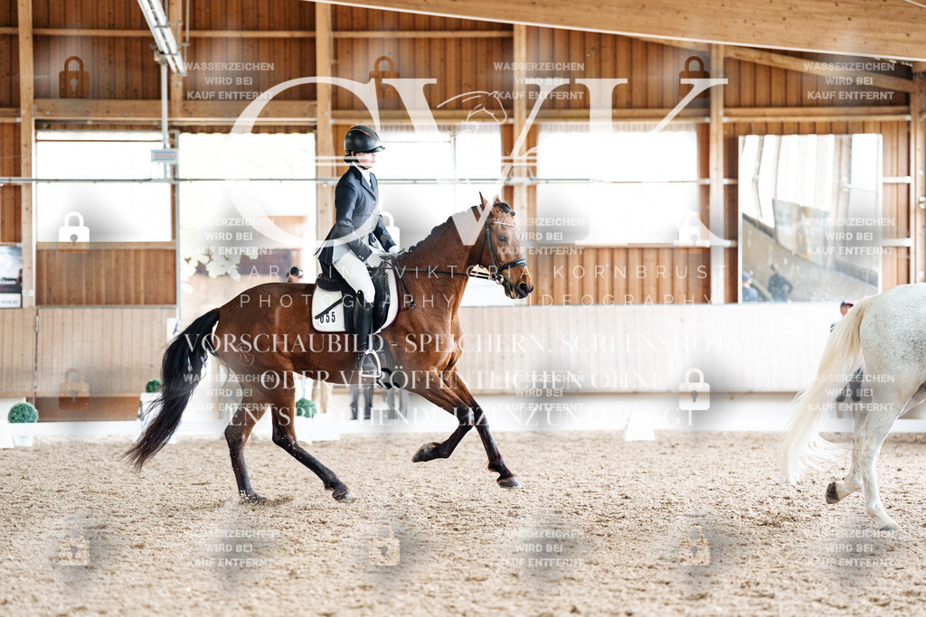CK900396 | Turnierfotografie Pferdefotografie Trier Rheinland-Pfalz Pferdesport Reitsport Tierfotografie Sportfotografie Pferdevideo Pferdevideografie Equestrianvideography equestrianphotography  - Realisiert mit Pictrs.com