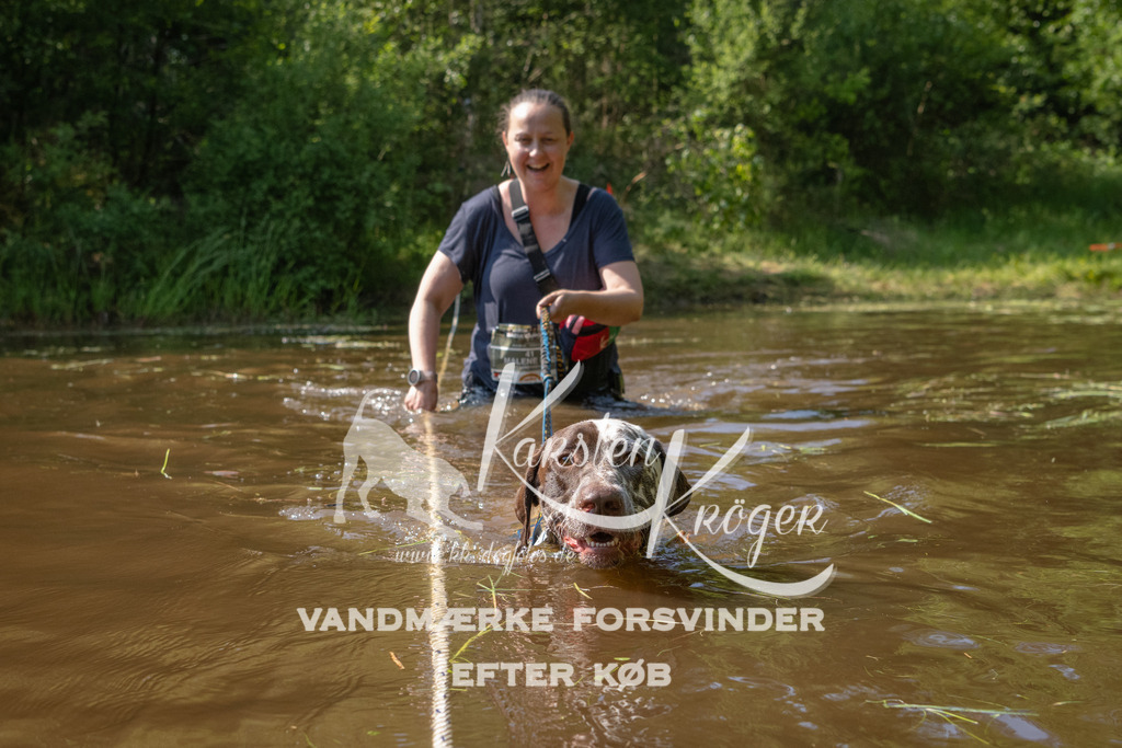 1617DKK993856 | kk-dogfotos