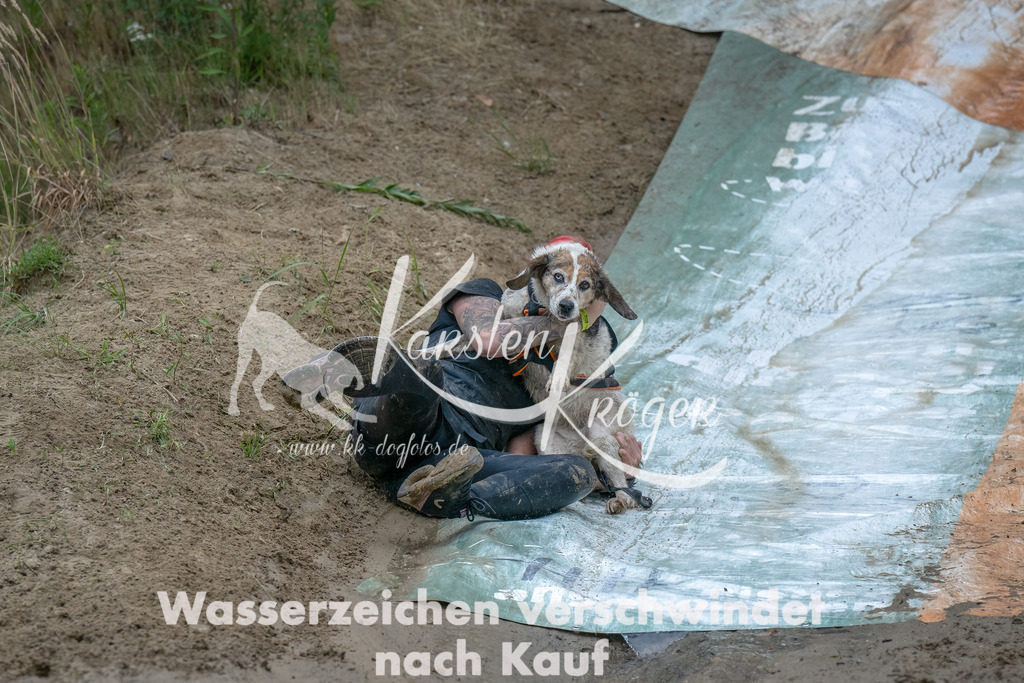 1700_ZZ91870-Bearbeitet | kk-dogfotos