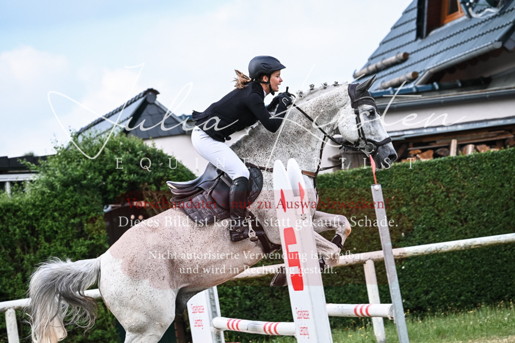 DSC_8350 | Pferde- und Turnierfotografie in Westsachsen. Pferdeportraits, Auftragszeichnungen und intuitive Kunst.