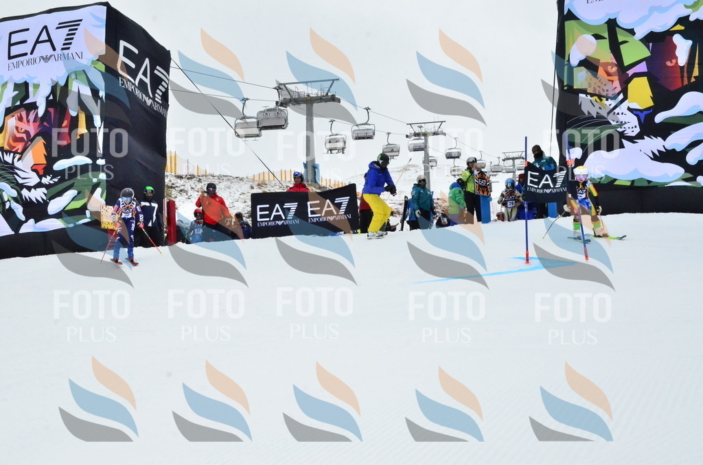 _ELE3253 | holidayphoto