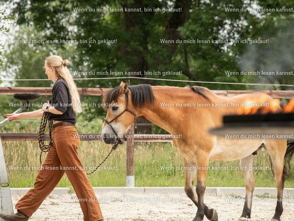 598A6329 | photographylinaismer - Realisiert mit Pictrs.com