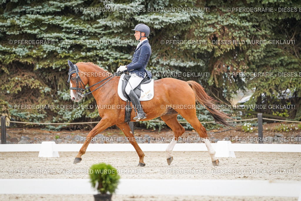 DSC08482 | Pferdegrafie