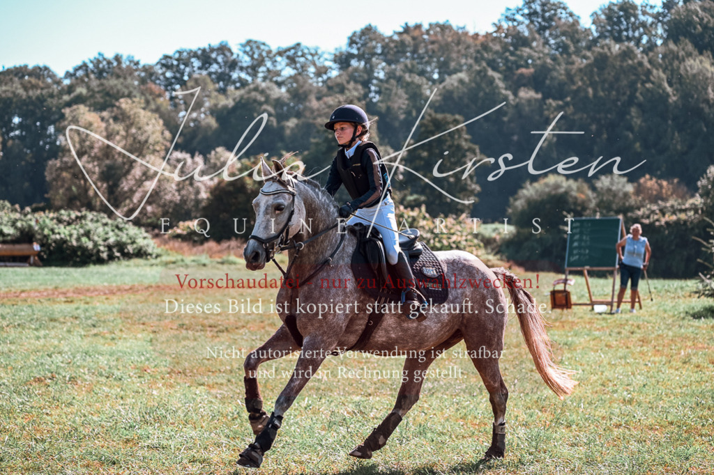 DSC_1147 | Pferde- und Turnierfotografie in Westsachsen. Pferdeportraits, Auftragszeichnungen und intuitive Kunst.