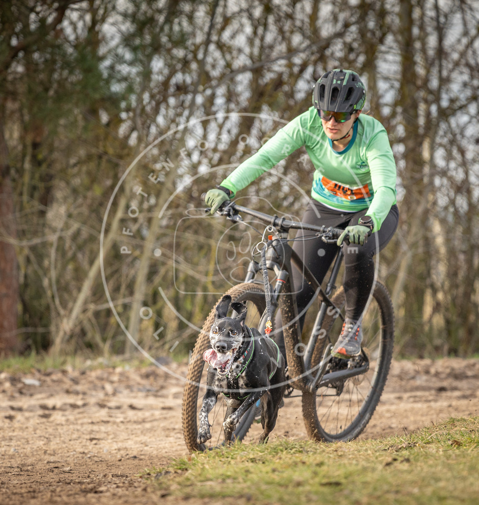 Pfotenfotografie_DV3A7661 | Hundefotografie, Tierfotograf, Pfotenfotografie, Fotoshooting Hund, Hunde Portrait, Hundesport, Hundeportraits, Heideshooting, Hunde, Sportfotograf, Hundefotograf, Turnierhundsport, THS,  - Realisiert mit Pictrs.com