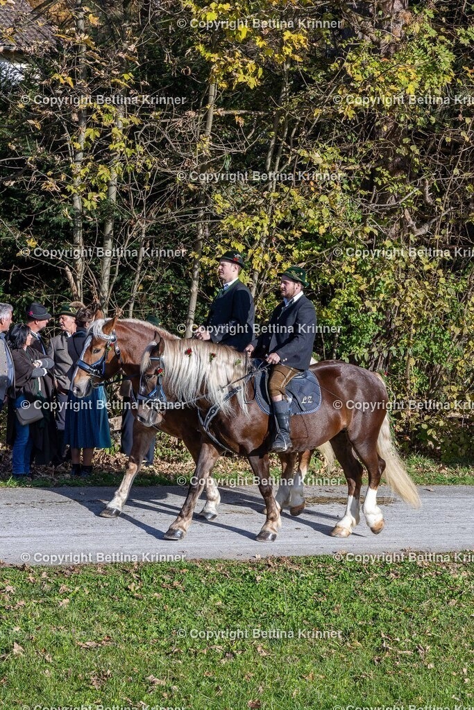 LBT24-888 | foto-bettina-krinner - Realisiert mit Pictrs.com