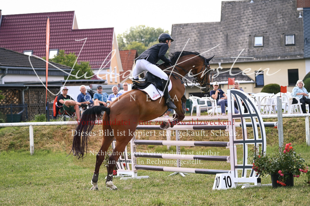 DSC_1013 | Pferde- und Turnierfotografie in Westsachsen. Pferdeportraits, Auftragszeichnungen und intuitive Kunst.