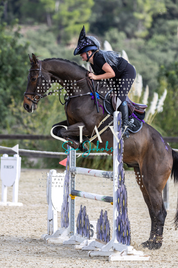 IMG_3305 | s-jay-photography - Realisiert mit Pictrs.com