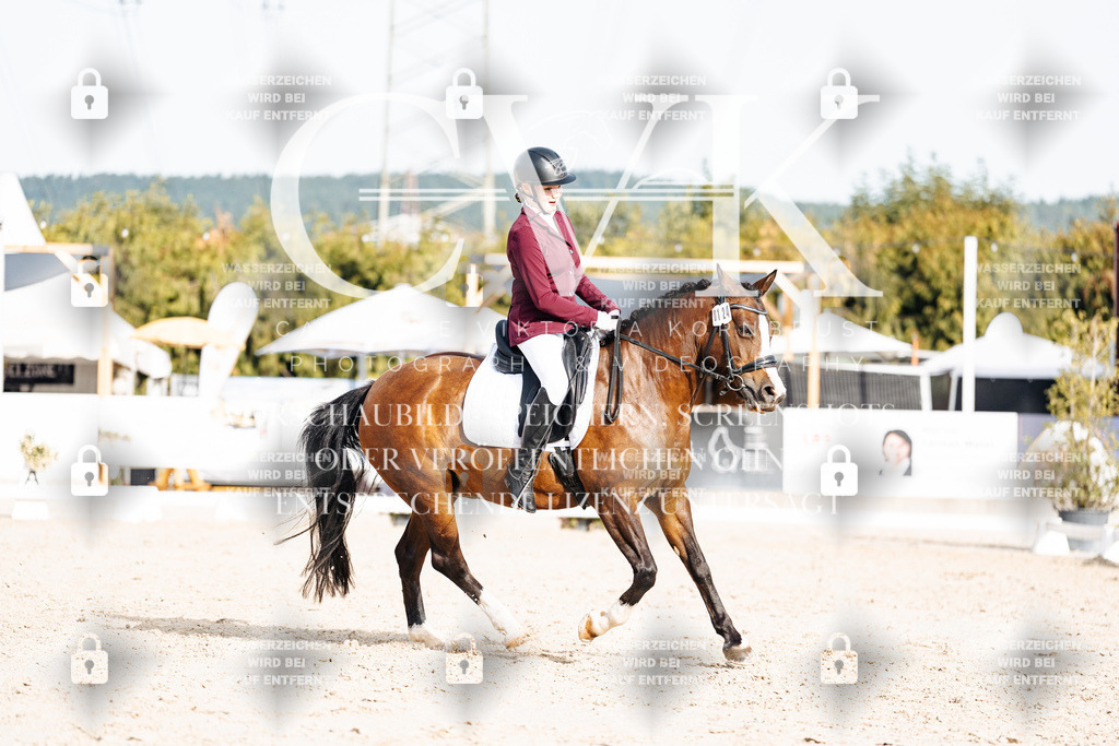 CK904911 | Turnierfotografie Pferdefotografie Trier Rheinland-Pfalz Pferdesport Reitsport Tierfotografie Sportfotografie Pferdevideo Pferdevideografie Equestrianvideography equestrianphotography  - Realisiert mit Pictrs.com