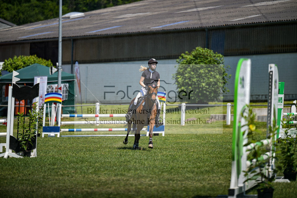 Reitturnier Voxtrup | Entdecke hochwertige Reitturnierfotos von Foto Oger. Professionell, emotional und authentisch – jetzt Lieblingsmomente im Shop bestellen.Deutschlandweite Turnierfotografie. - Realisiert mit Pictrs.com
